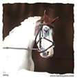 Figure 8 bridle for model horses made by Jana Skybova